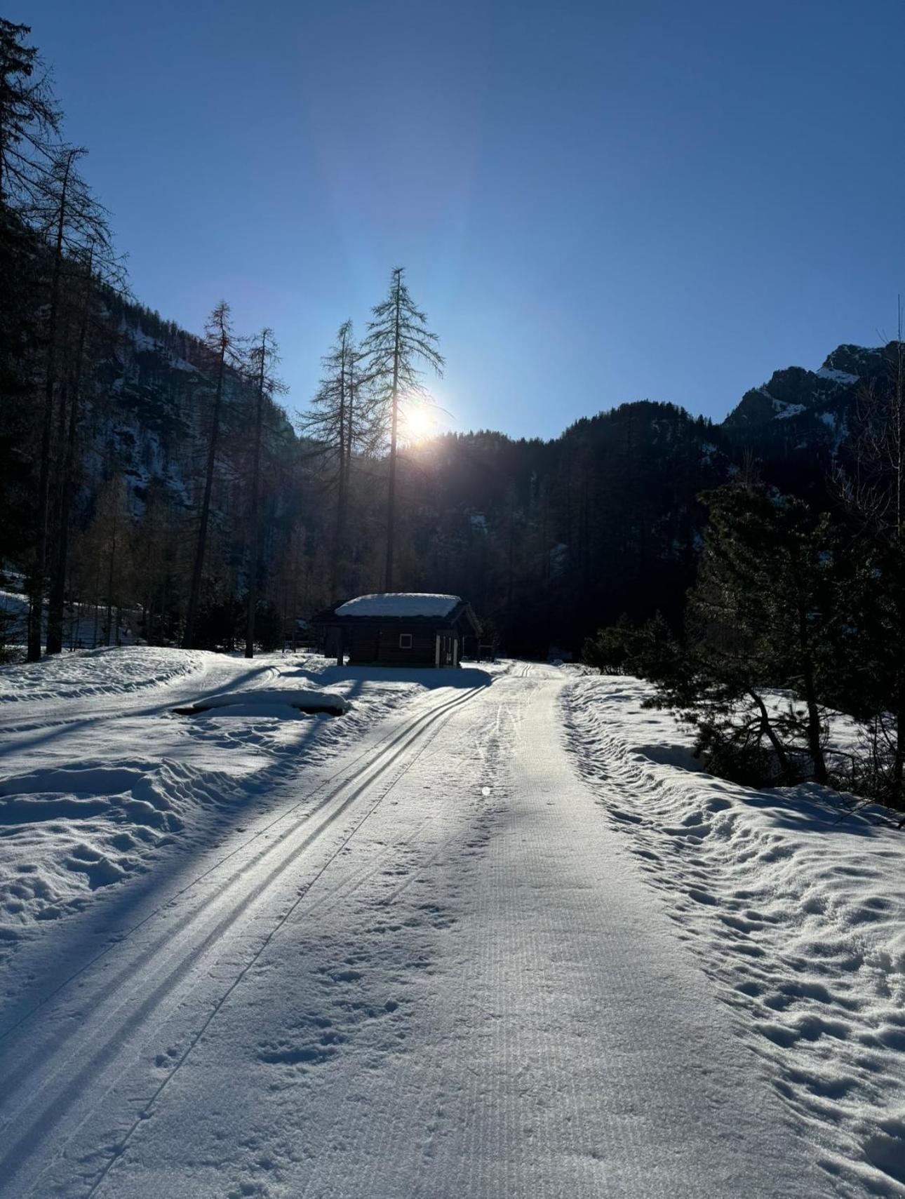 Il Castello Nel Bosco, Appartamento Torrente Champorcher Luaran gambar