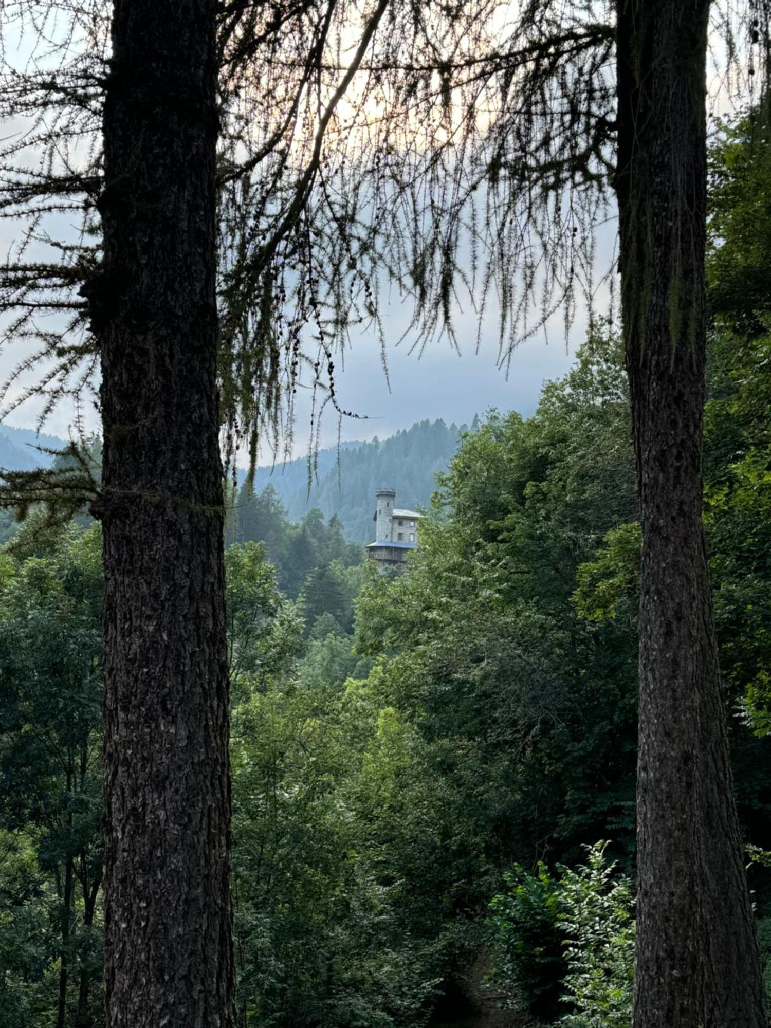 Il Castello Nel Bosco, Appartamento Torrente Champorcher Luaran gambar